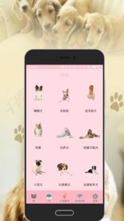 狗语猫语翻译器
