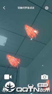 奇幻光影森林app