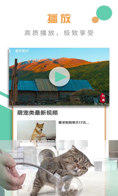 宅宅视频

