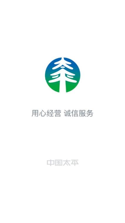 太平智定损app