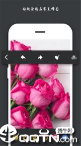 Fused安卓版官方最新app