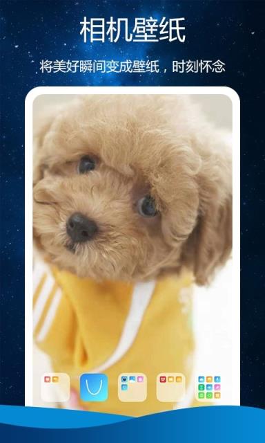 魔法视频壁纸app