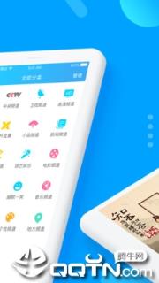 电视狗
