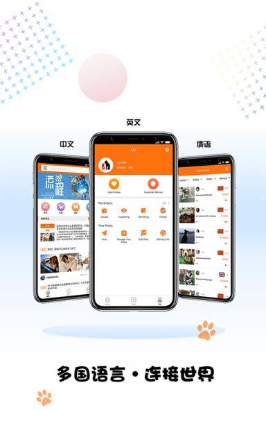 宠小七app