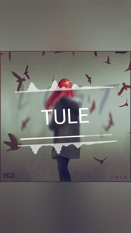 可视化音乐播放器