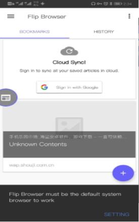 flip browser