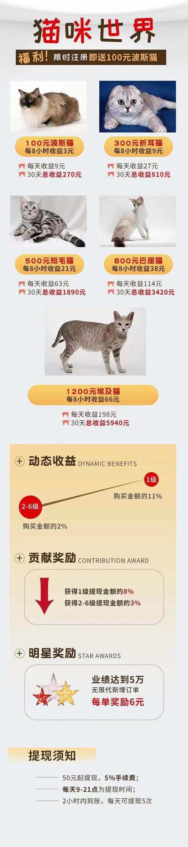 猫咪世界app