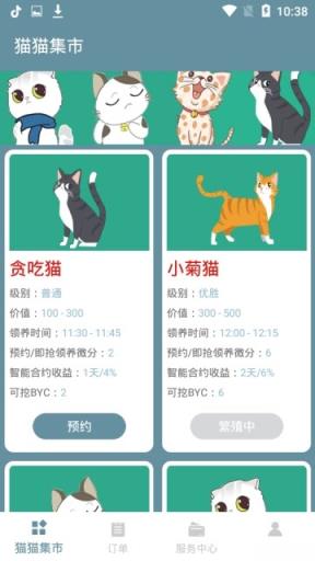 宠猫社区app
