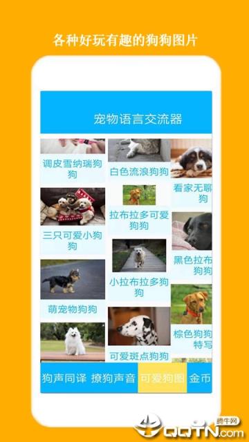 人狗交流器狗语翻译