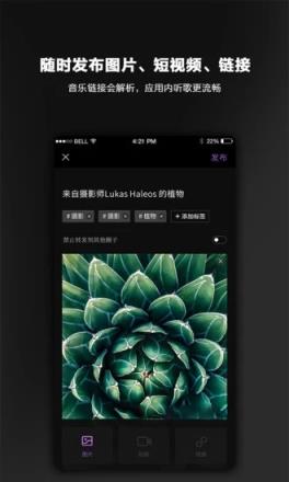 毛球图文app