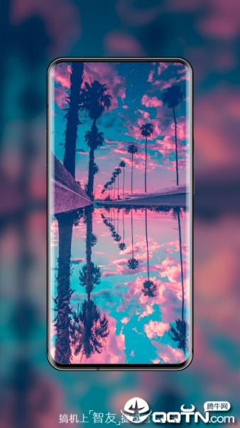 wallpaper expert