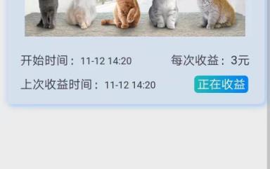 猫咪世界app