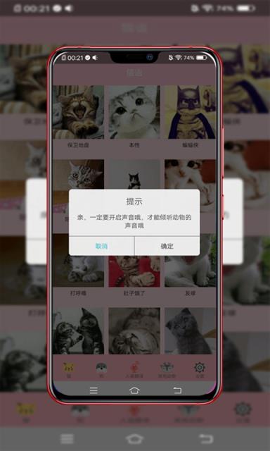 动物智能翻译
