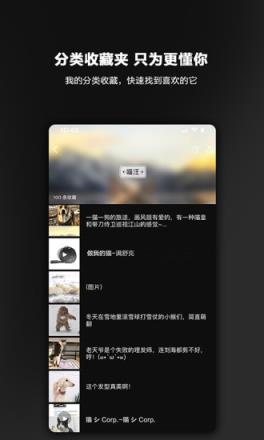 毛球图文app