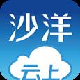 云上沙洋app