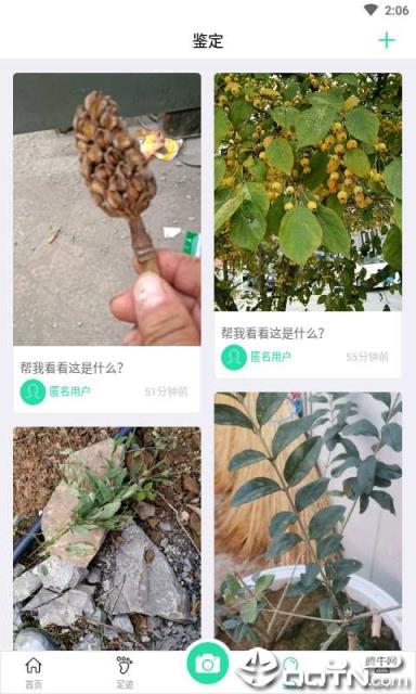 掌上植物网