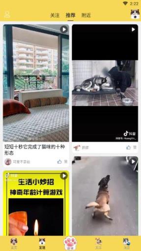 饭团萌
