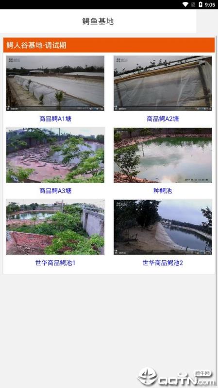 鳄人谷app
