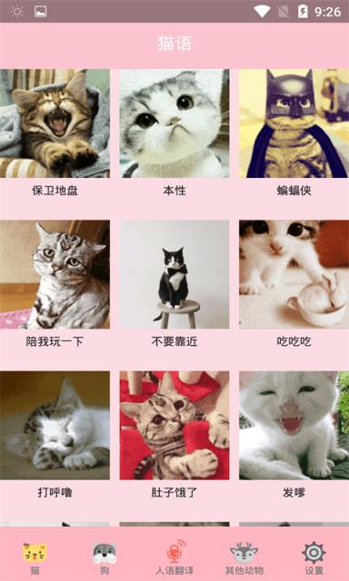 动音智能识别
