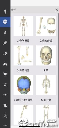 人卫3D系解app