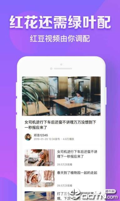 红豆视频手机