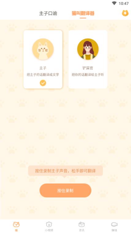 逗猫咪