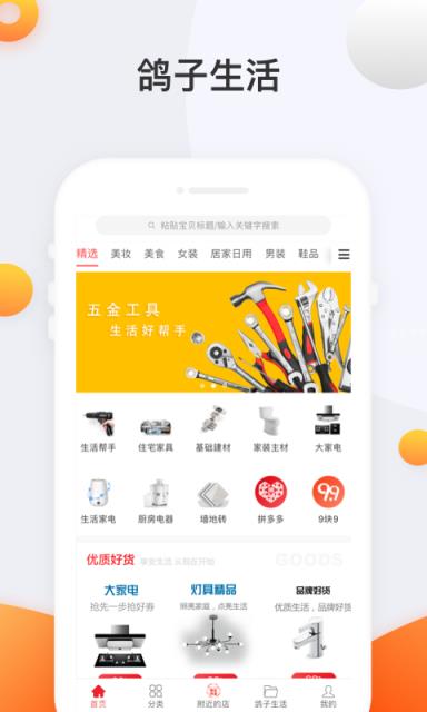 鸽子生活