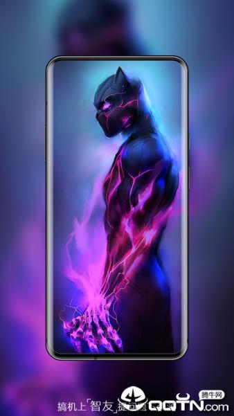 wallpaper expert