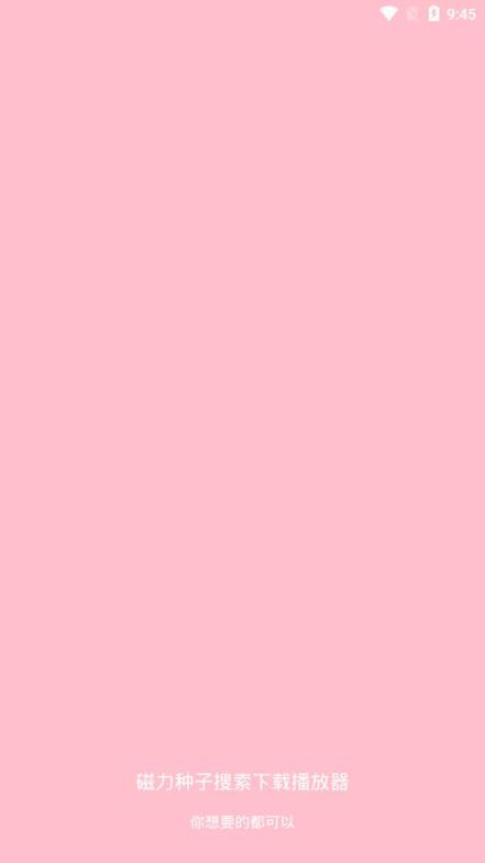 磁力种子搜索播放器