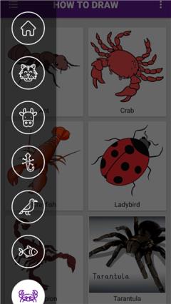 每笔都生动(简笔画学习)