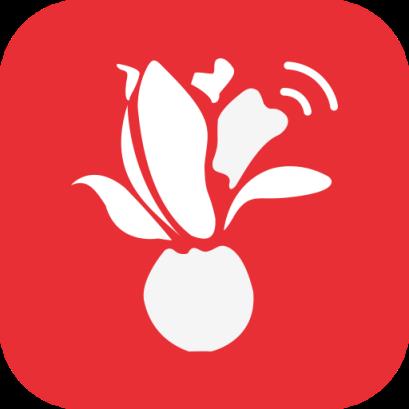 iShanghai app