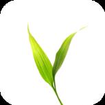 微博士家长端app