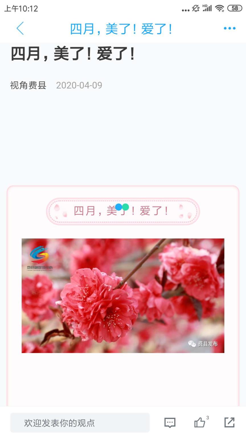 视角费县app