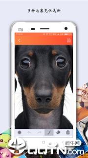 马赛克照片处理