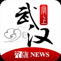 掌上武汉手机客户端