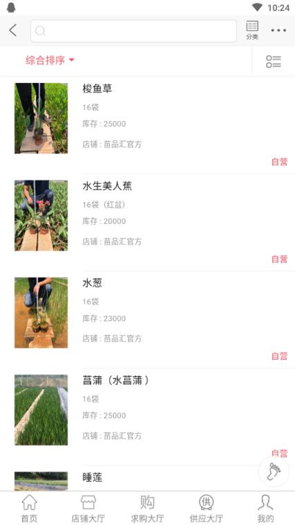 苗品汇(苗木交易市场)