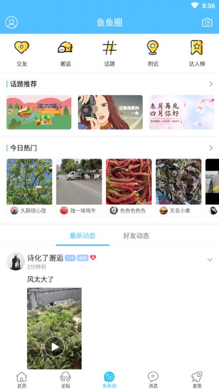 洪雅之家app