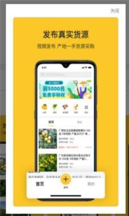 飞鸽找货
