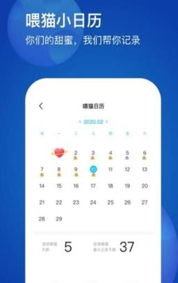 恋爱星球
