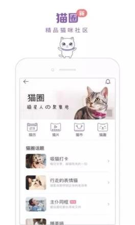 一日猫app