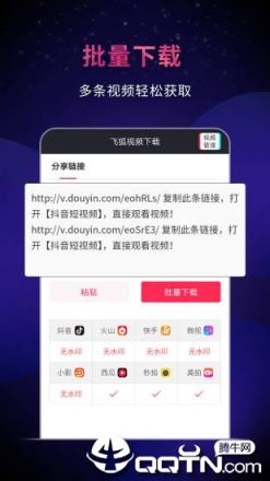 飞狐视频器app
