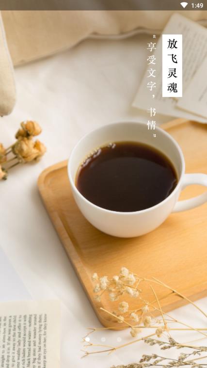 牍书屋阅读分析助手