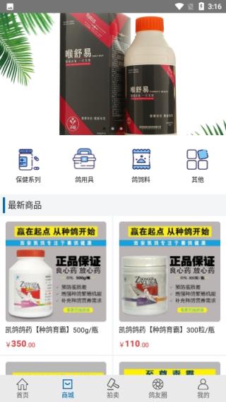 职业赛鸽网app