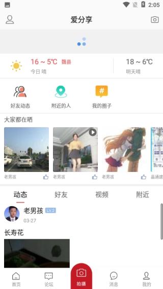 梨城网app