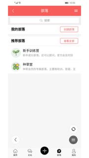 芳疗圈子
