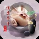 健康养生理疗网app手机