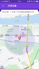 飞鸽传媒