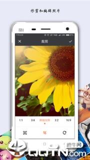 马赛克照片处理