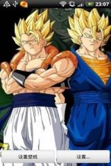 七龙珠动态主题