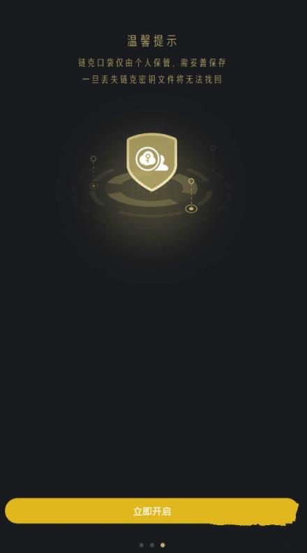 链克口袋国际版